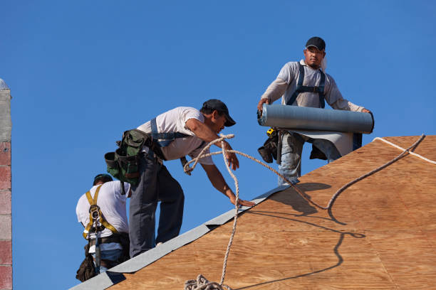 Best Storm Damage Roof Repair  in Danville, PA