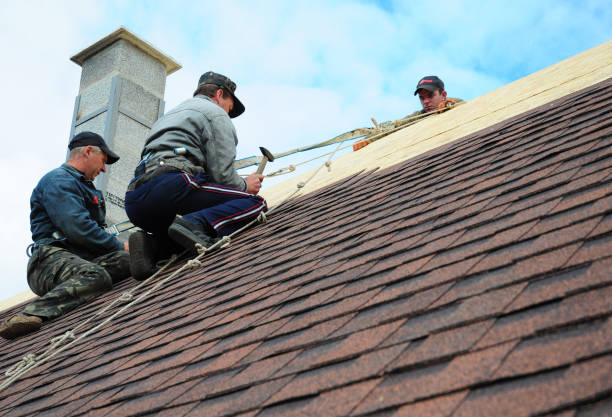 Roof Gutter Cleaning in Danville, PA